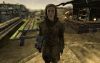 Fallout New Vegas - 38